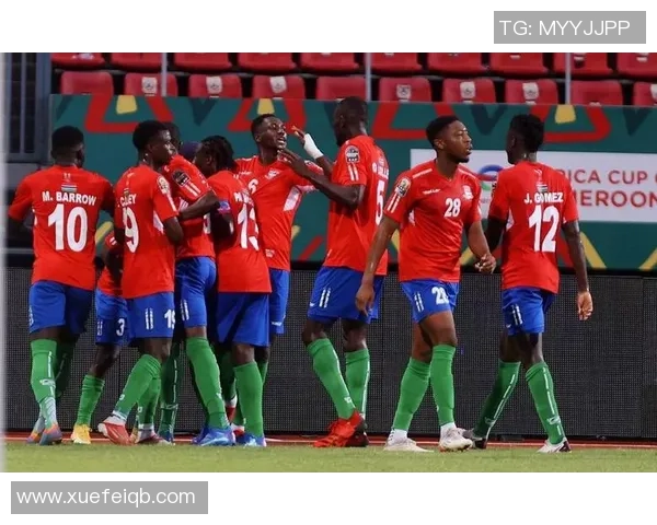 冈比亚足球球星成长历程与非洲足球未来发展的深度解读